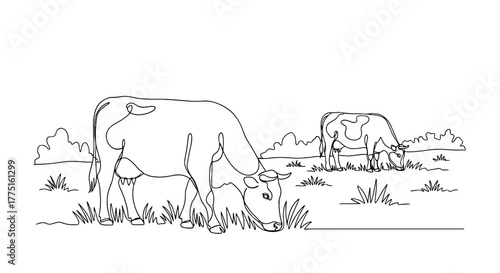 Grazing Cows in a Rural Pasture Single Line Art Illustration: Livestock Feeding on Grass in Countryside, Minimalist Farm Animals for Agricultural Business, Dairy Production, and Food Industry Designs.