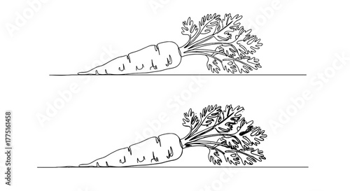 Hand-Drawn Carrot Line Art Illustration: Fresh Vegetable on Ground, Outlined Graphics for Health & Wellness Marketing, Education, Recipe Content, Agriculture Branding & Eco-Friendly Projects. Simple,