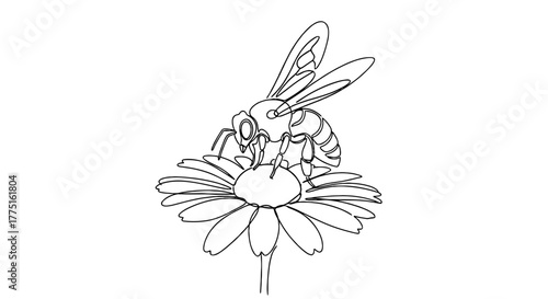 Bee Pollinating Daisy Flower in Garden Illustration: Nature's Sweet Nectar, Pollination Process for Agriculture, Environmental Conservation, and Floral Design Projects with Clean Line Art Style (Beeke