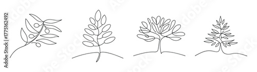 Collection of four hand drawn juniper tree line art designs for botanical graphics
