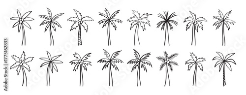 palm tree doodle hand drawn icon set. Outline drawing palm tree line clipart symbol collection