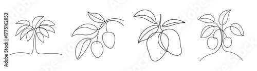 Ornate line art drawing of mango tree branches with detailed leaves and subtle fruit forms