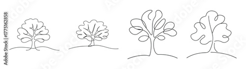 Sketchy oak tree designs four diverse views line art nature botanical study element