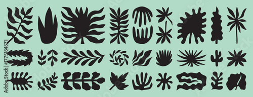 tropic shapes organic plant leaves form set. Exotic plants different modern nature floral shapes. Summer botanical boho silhouette. 