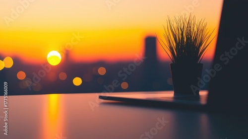Small potted plant silhouetted against a vibrant orange and yellow sunset over a blurred cityscape