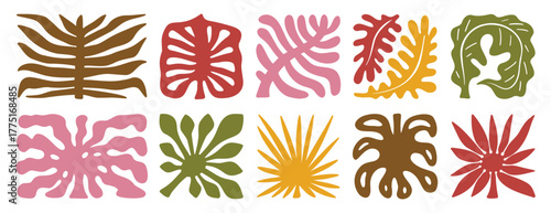 palm tree leaves boho silhouette nature set. groovy summer palm leaf geometric poster. summer abstract square tropical icons freehand retro style