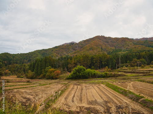大内宿で見つけた紅葉