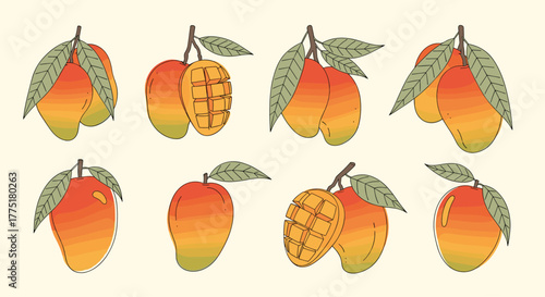 Collection of hand-drawn mango illustrations featuring whole and cut ripe tropical fruits with green leaves.