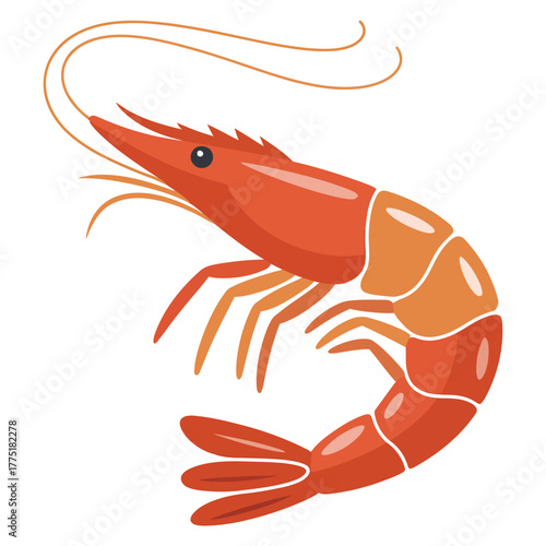 crayfish on a white background