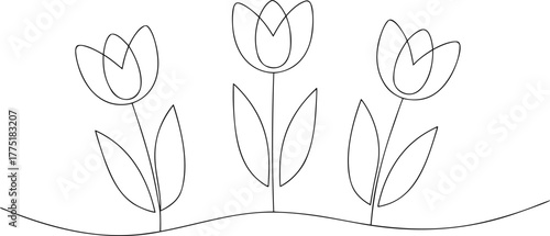Three outline tulips on a wavy ground line flower line art