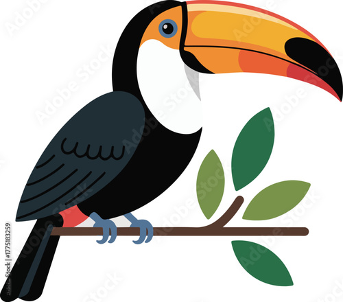 Toucan vector illustration of a vibrant tropical bird perched on a branch with green foliage