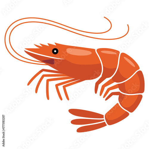 shrimp on white background