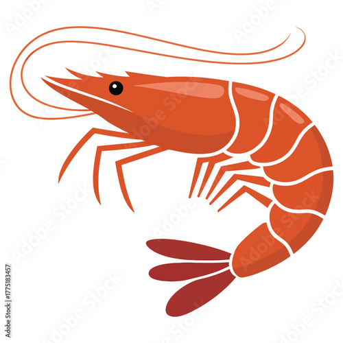 shrimp on white background