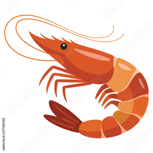shrimp isolated on white background