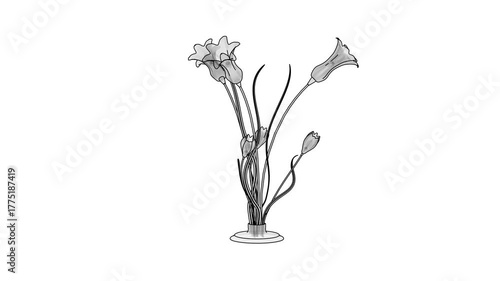 bouquet of snowdrops in vase