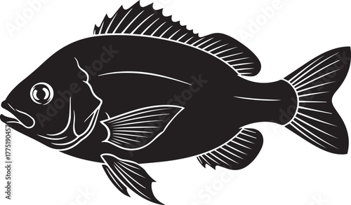 Black Silhouette of a Fish white outline