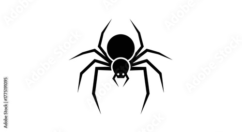 Stylized spider arachnid vector illustration for graphic design elements with clear background