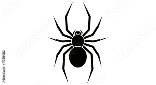 Symmetrical arachnid depiction with stark contrasting backdrop, suitable for horror themes or