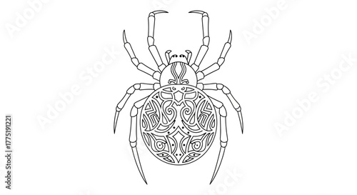 Elaborate monochromatic spider illustration with ornate abdominal detailing artwork