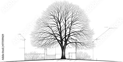 Leafless deciduous tree in urban architectural sketch, winter silhouette, branching structure, minimal buildings, nature and structure contrast, landscape concept