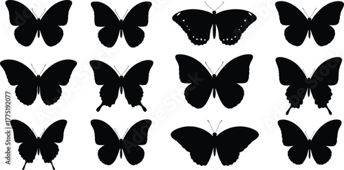 Butterfly silhouette set, black vector illustration, wing shape variations, insect icons, nature design, minimal graphic style, flying creature collection