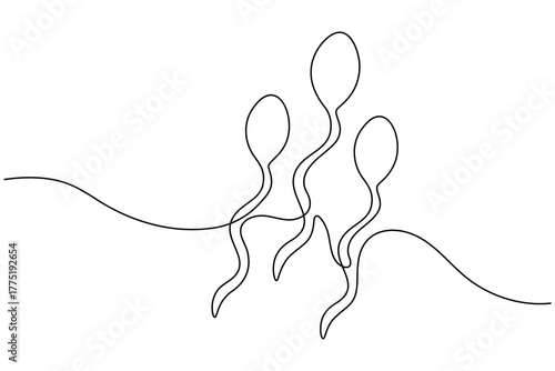 Human sperm icon continuous one line drawing on white background minimalist reproductive cell outline vector illustration