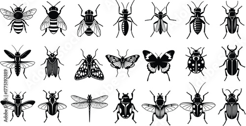 Insect silhouette set, symmetrical bug designs, black vector illustration, winged and non-winged species, entomology icons, nature graphic, minimal style