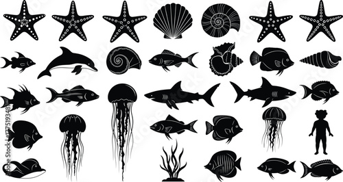 Photography Sea creature silhouette set, marine life icons, black vector illustration, ocean