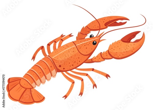  Vibrant Orange Lobster Illustration on White Background