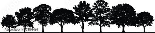Black silhouette illustration of diverse trees in a row—distinct shapes, canopy widths, trunk styles—botanical variety, landscape design reference sketch 