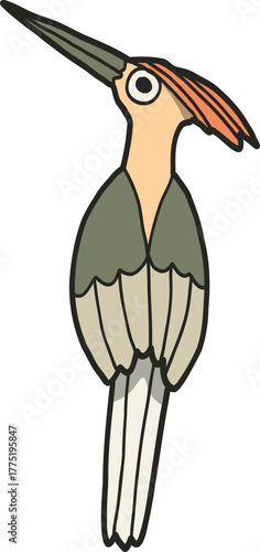 Illustration of a Hoopoe Bird