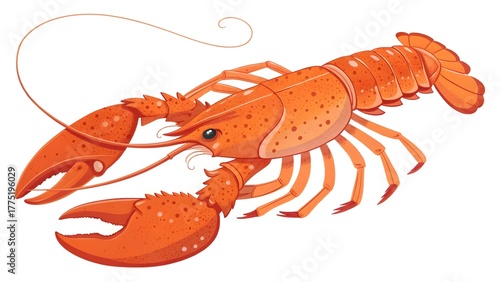  Vibrant Orange Lobster Illustration on White Background