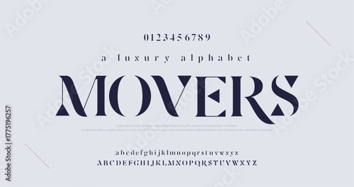 Elegant Font Uppercase Lowercase And Number. Classic Lettering Minimal Fashion Designs. Typography modern serif fonts regular decorative vintage concept. vector illustration