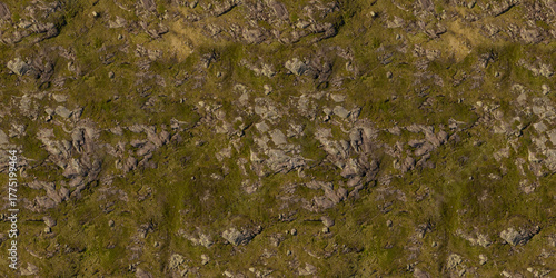Natural Aerial Rock and Grass Ground Texture Seamless Repeatable Surface