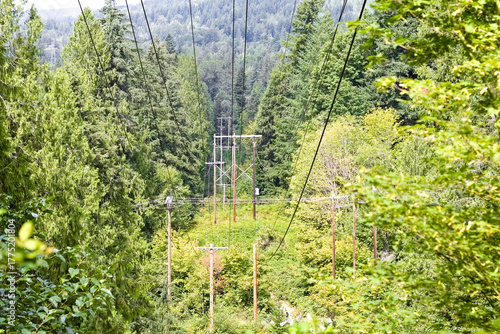 Power lines cut through the green forests of Snoqualmie, Washington, highlighting the intersection of nature and technology in the Pacific Northwest wilderness.