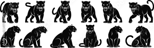 Set of panther silhouette vector illustrations, different poses and expressions, black jaguar designs, various crouching, roaring, and sitting positions, isolated on 