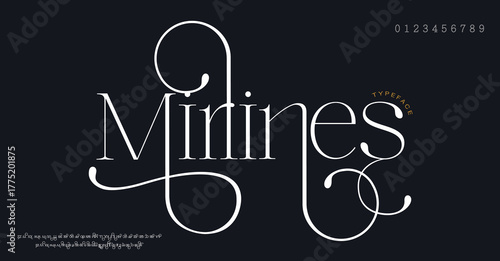 Beauty Luxury font alphabet logo. Typography fashion elegant classic letters serif italic fonts decorative wedding vintage retro logos on black background. vector illustration