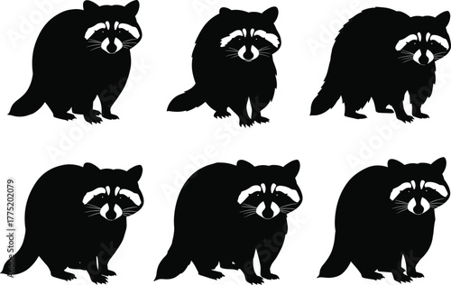 Flat vector raccoon silhouettes in different poses, wildlife animal illustration, cartoon design and nature artwork template
