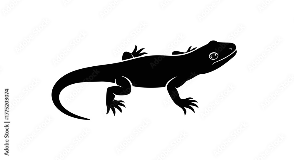 Obraz premium Black lizard silhouette with transparent background