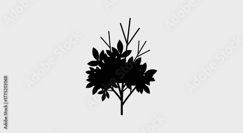 Black silhouette of a leafy tree with transparent background