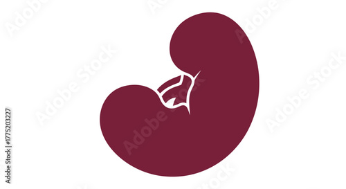 Kidney shape with cutout with transparent background
