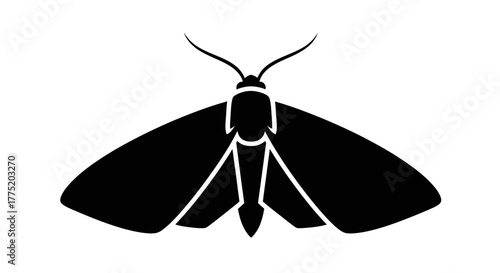 Moth silhouette with transparent background