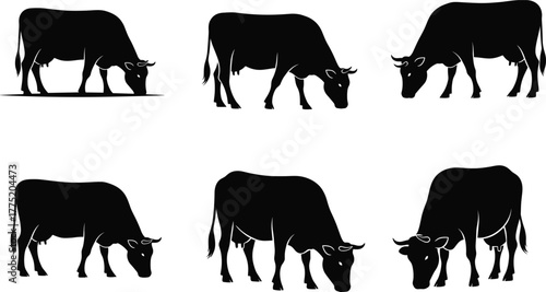 Cow grazing silhouettes, farm animal poses, black cattle vector, livestock feeding, rural agriculture, pasture scene, bovine illustration, nature design