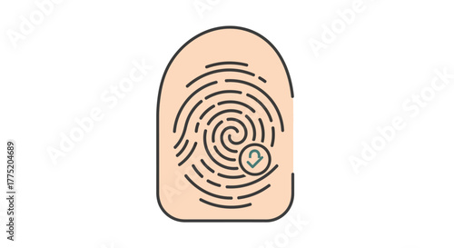 Fingerprint security verification symbol for biometric data and digital identity authentication