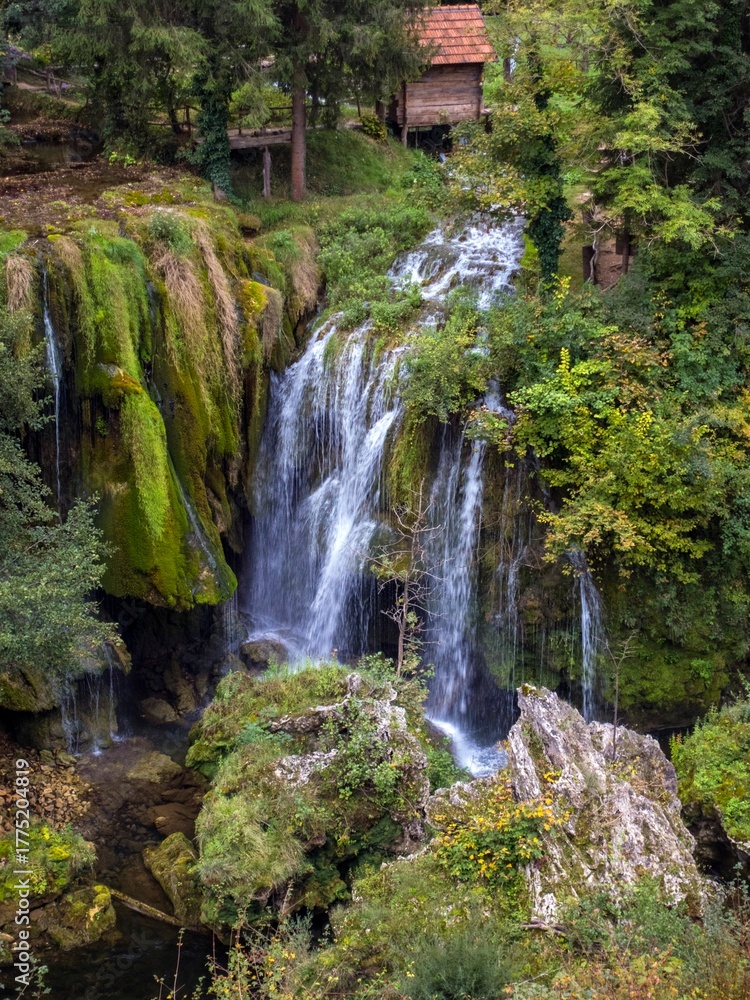 Fototapeta premium rastoke