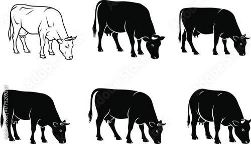 Cow silhouette and outline illustration, grazing and standing pose, black livestock figure, farm animal design, rural concept, pasture scene art