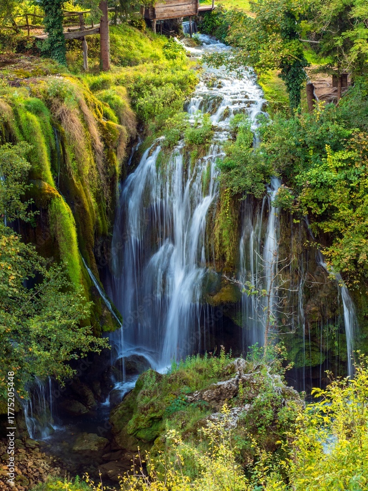 Naklejka premium rastoke