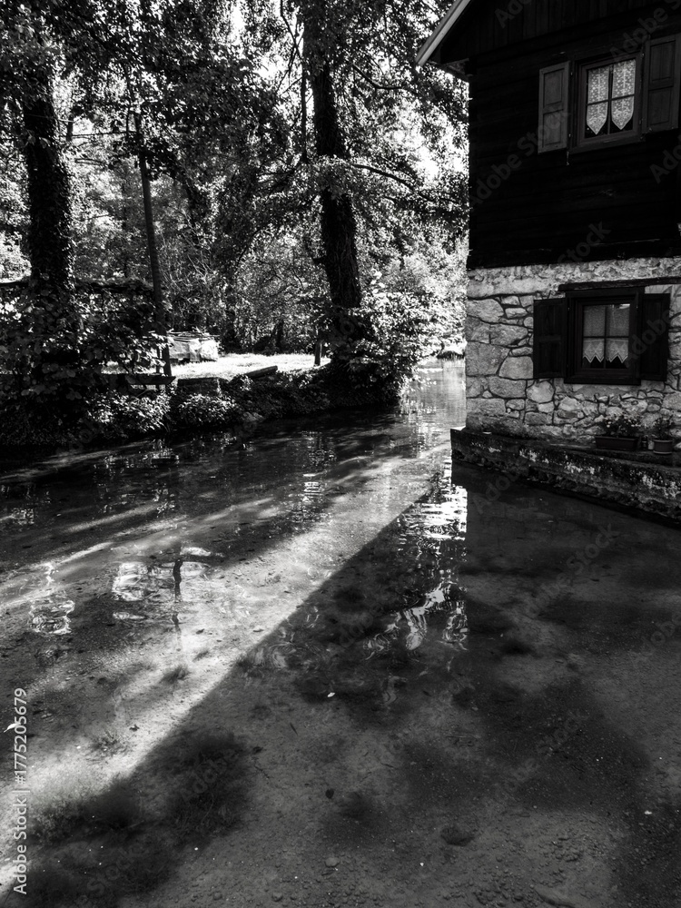 Fototapeta premium rastoke