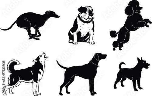 Flat vector dog breed silhouettes, domestic pet animals in various poses, canine illustration design template collection