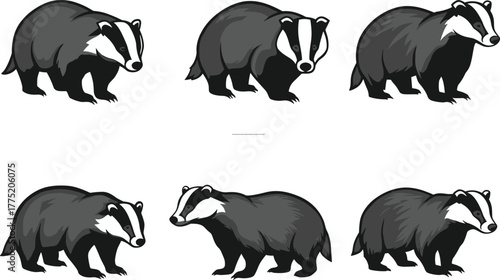 Flat vector badger illustrations in different styles, wildlife animal silhouettes and cartoon designs, nature artwork template